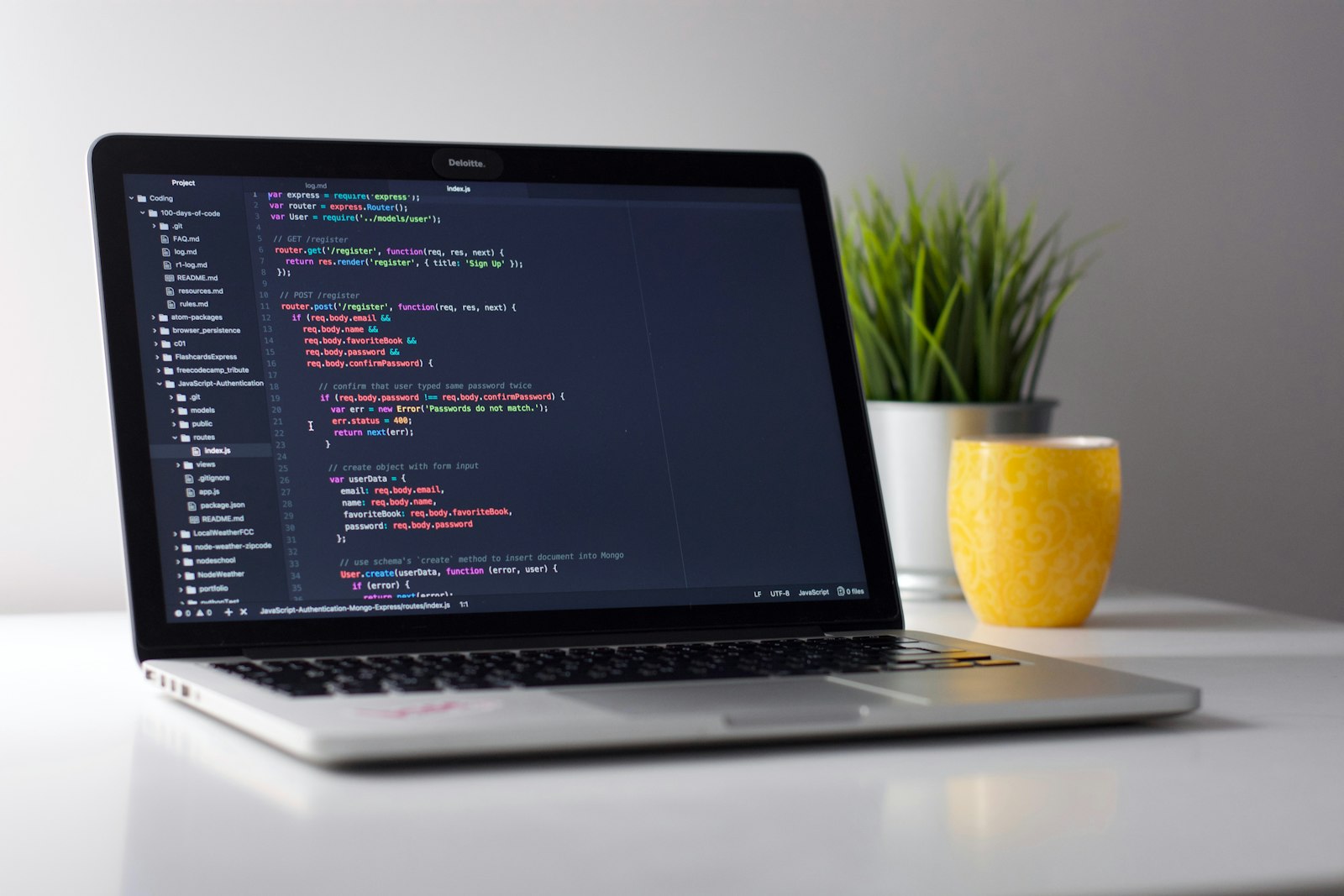 Software development