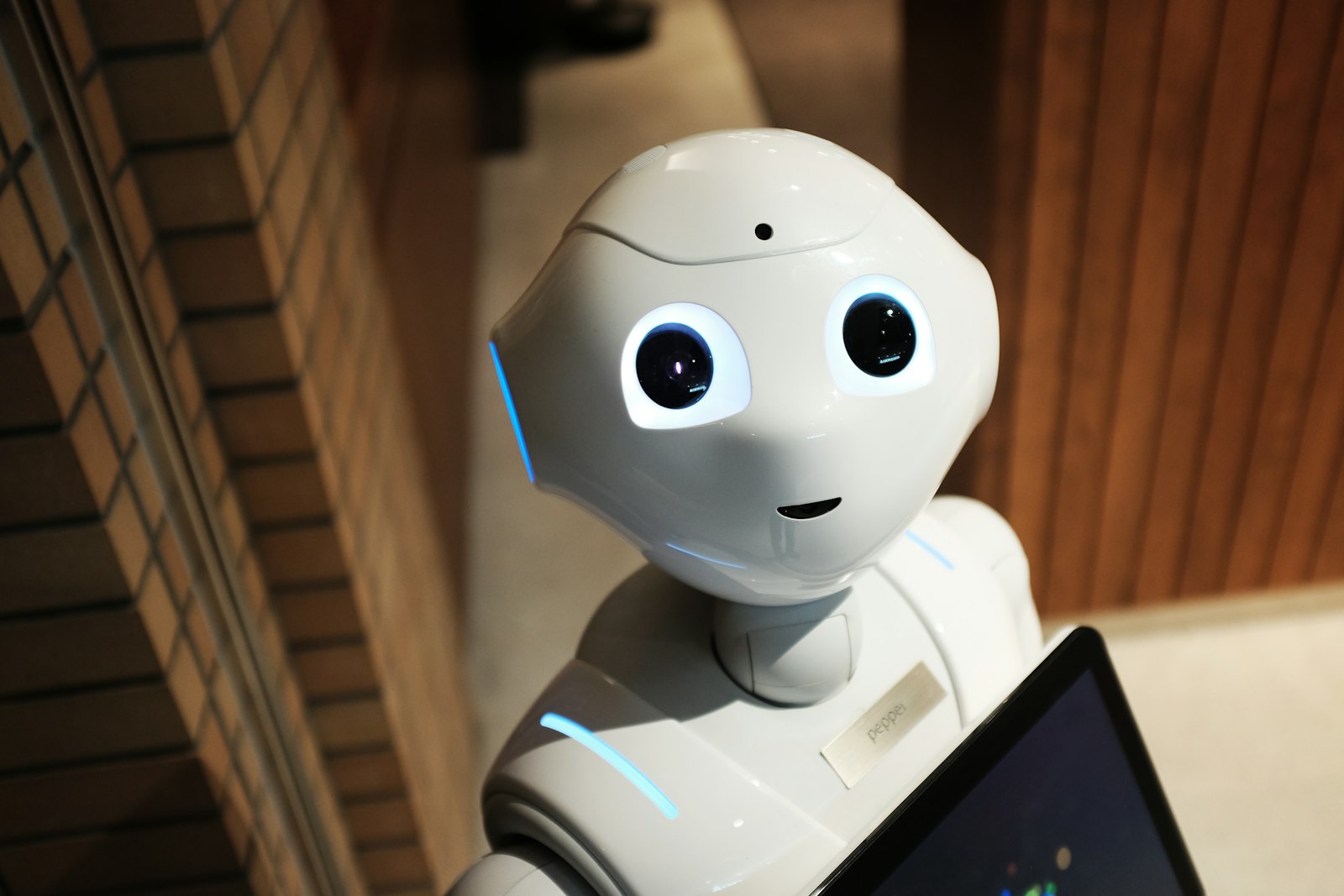 AI, machine learning and robotics